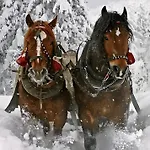 Holiday home Landlhof Ramsau am Dachstein
