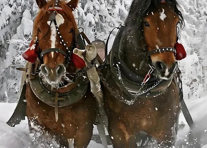 Landlhof 펜션 람자우 암 다흐스타인
